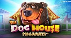 The Dog House Megaways Fenomena Slot 2026 The Dog House Megaways